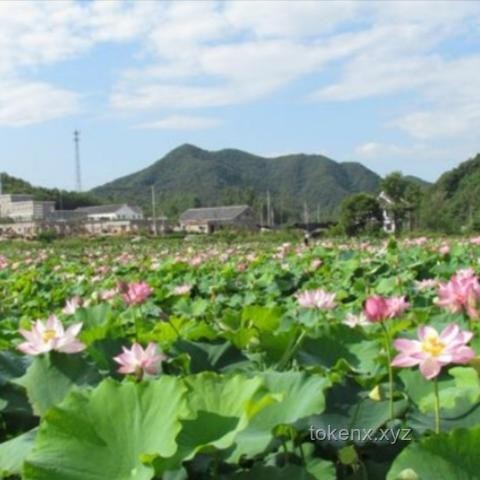 旅游的意义探索：除了照片，你还收获了哪些无价之宝？